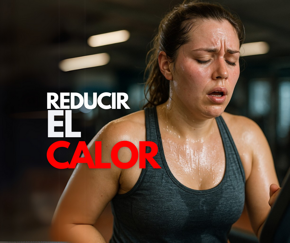 Aislamiento térmico: La mejor defensa contra el calor
